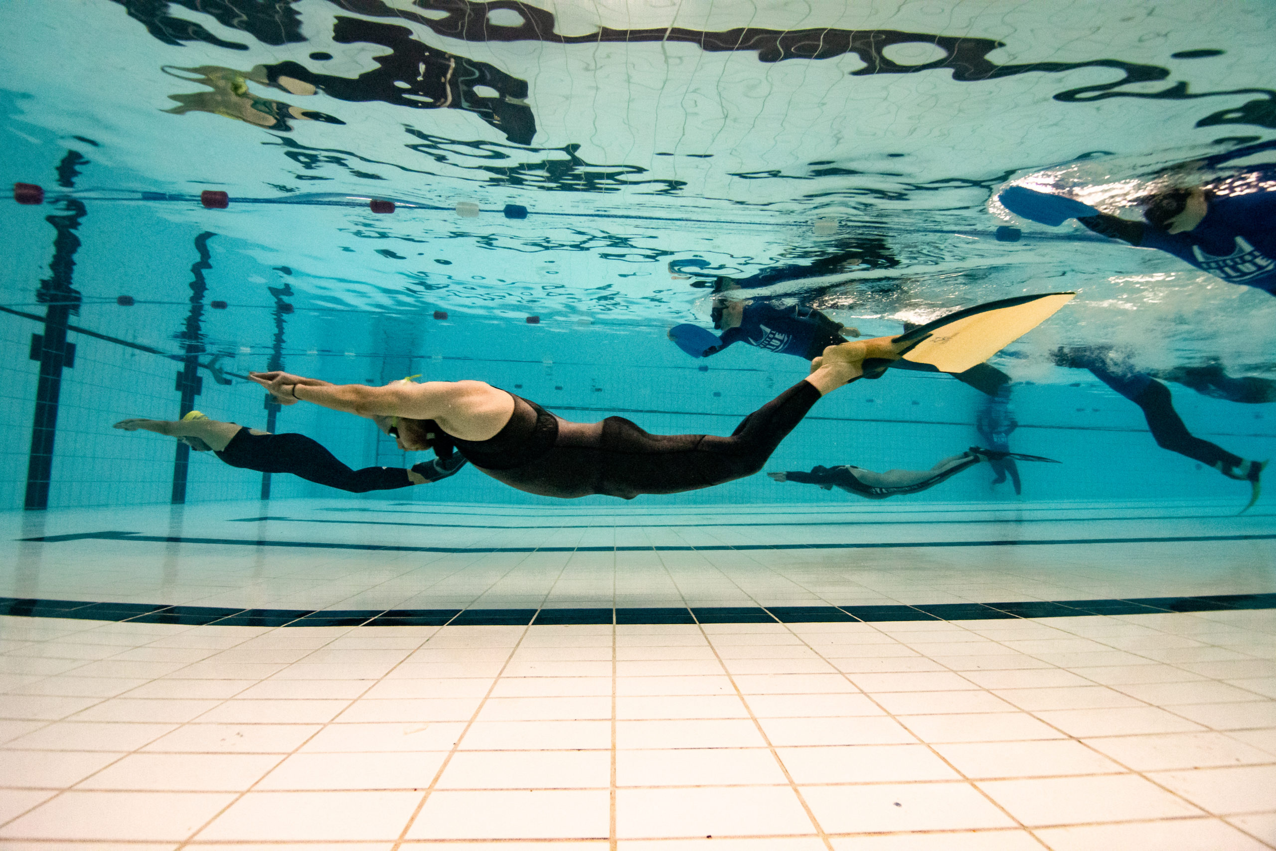 Freediving competition in Bristol