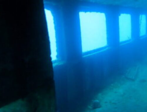 Malta Freediving trip 2025: The three islands adventure