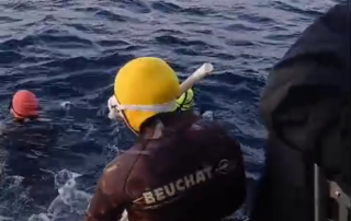 Orca freediving and snorkelling trip getting in