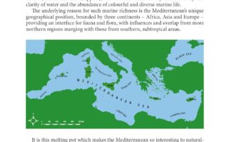 Snorkellers guide by Keith Broomfield
