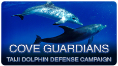 Sea Shepherd Cove Guardians